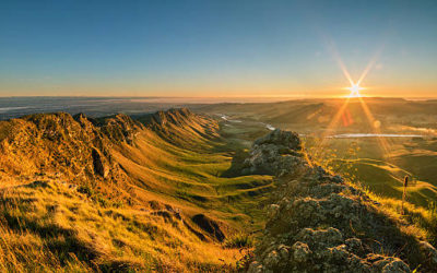 Hawke’s Bay Technology News Your Guide to the Latest Tech Trends