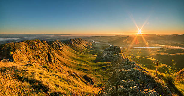 Hawke’s Bay Technology News Your Guide to the Latest Tech Trends